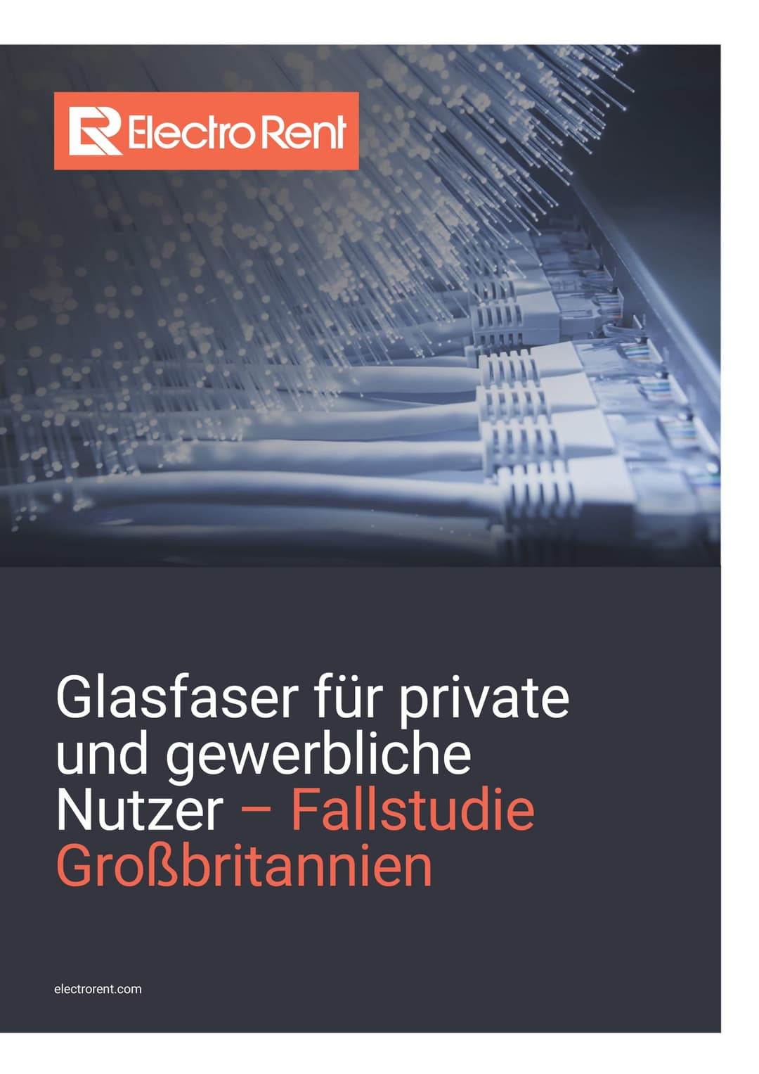 EU DE FTTH WP, bild